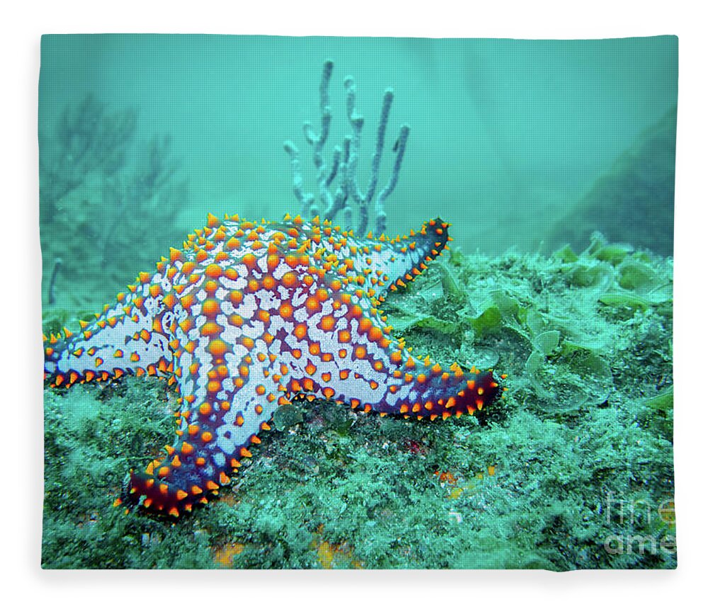 Coral Reef Fleece Blanket featuring the photograph Fat Sea Star by Becqi Sherman
