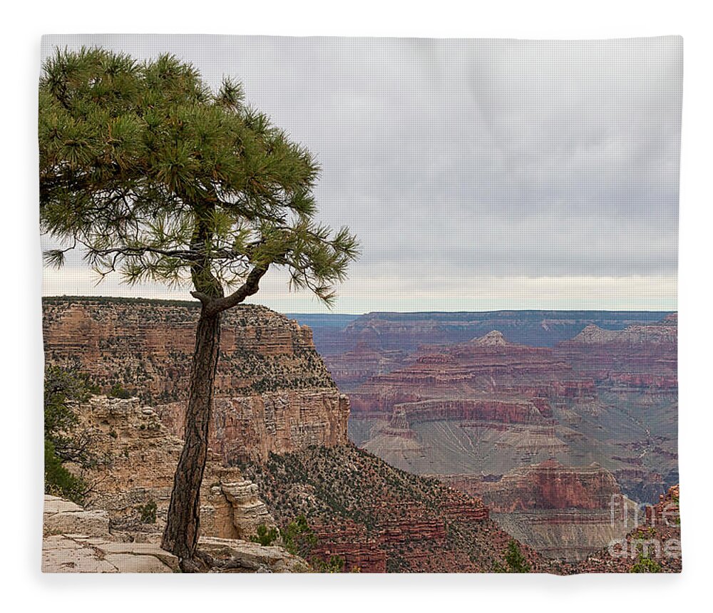 Grand Canyon Fleece Blanket featuring the photograph Fearless Tree by Ana V Ramirez