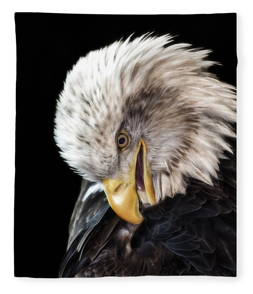 Bald Eagle Fleece Blanket featuring the photograph Feather Maintenance by Bill and Linda Tiepelman