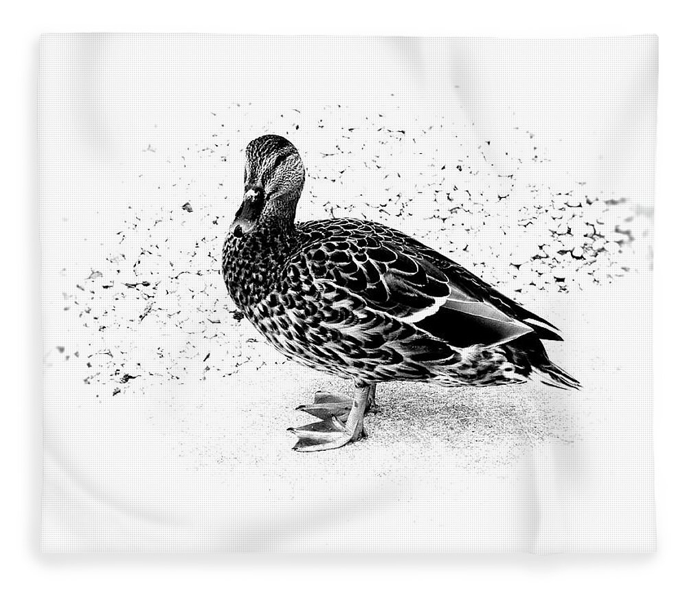 Mallard Duck Fleece Blanket featuring the photograph Female Mallard Duck in Black and White 1 by Angie Tirado