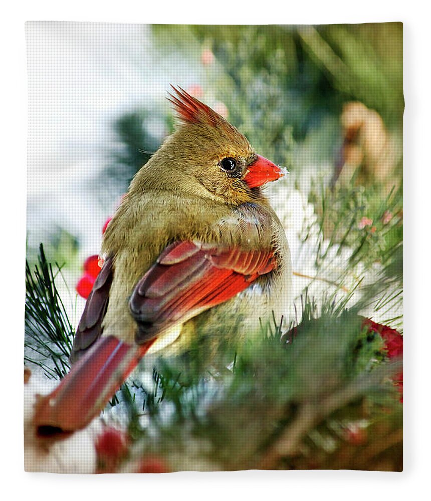 Cardinal Fleece Blanket featuring the photograph Female Northern Cardinal by Christina Rollo