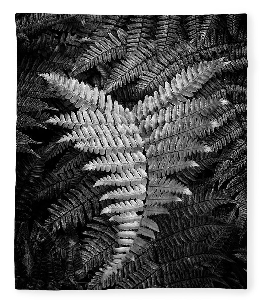 Fern Fleece Blanket featuring the photograph Fern In Black and White by Greg and Chrystal Mimbs