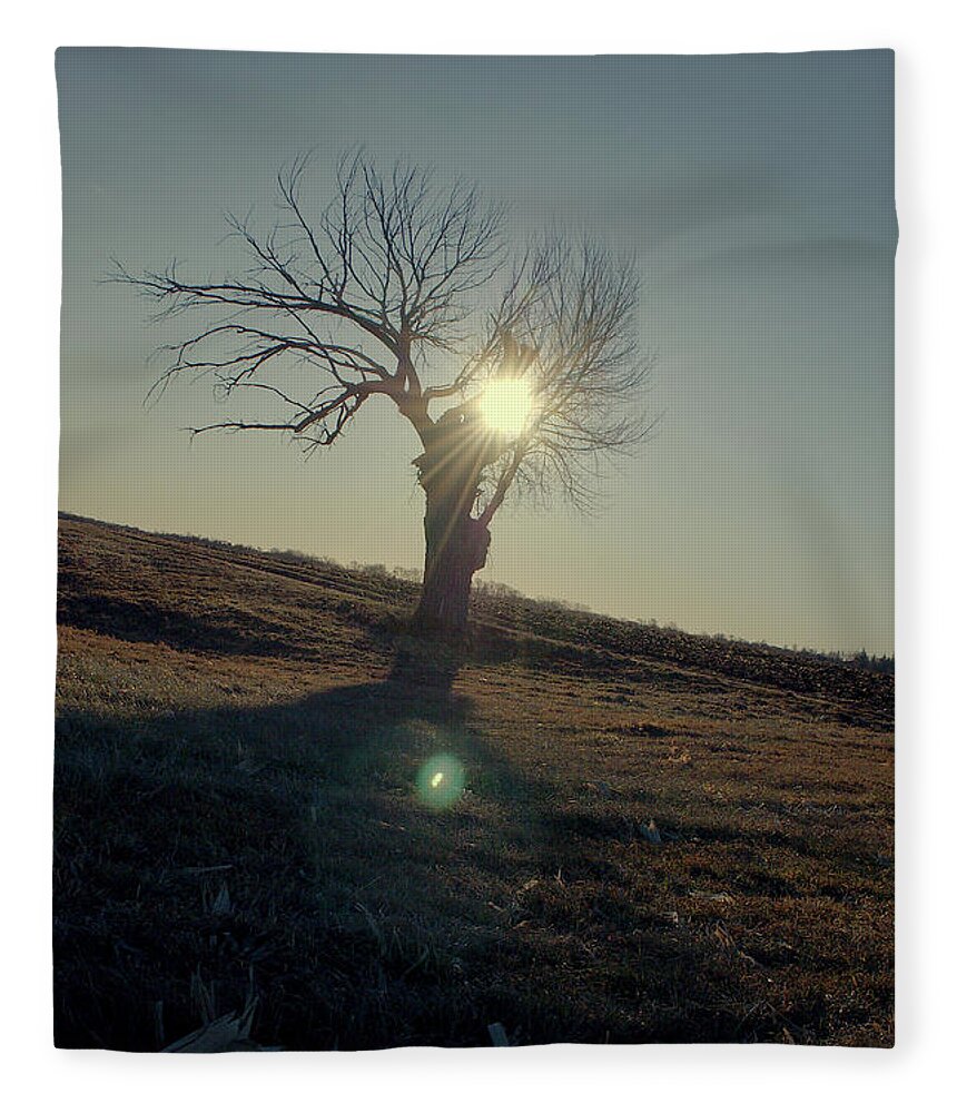 Tree Fleece Blanket featuring the photograph Field and Tree by Troy Stapek