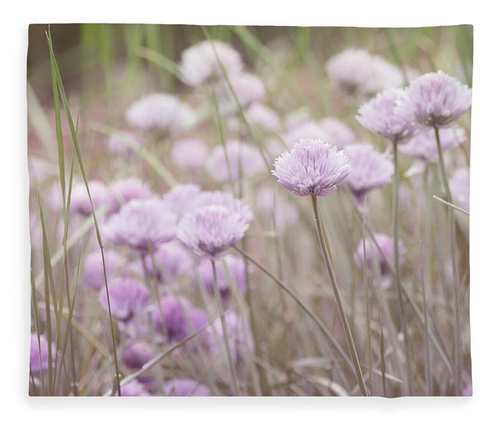 Nature Prints Fleece Blanket featuring the photograph Field of Flowers by Bonnie Bruno