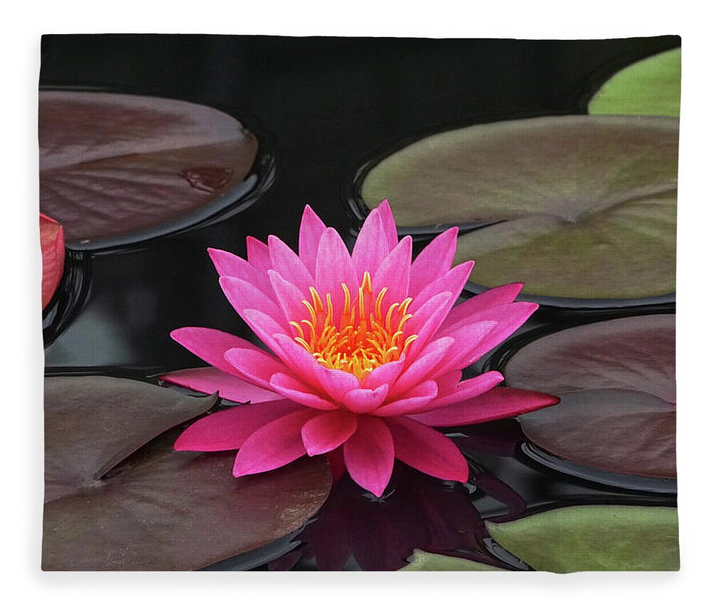 Water Lily Fleece Blanket featuring the photograph Fiery Beauty OF A Waterlily by Byron Varvarigos
