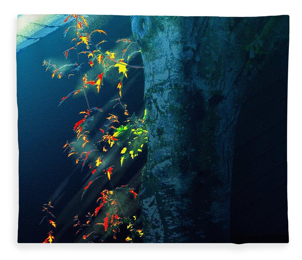 Victor Shelley Fleece Blanket featuring the painting Fireworks by Victor Shelley