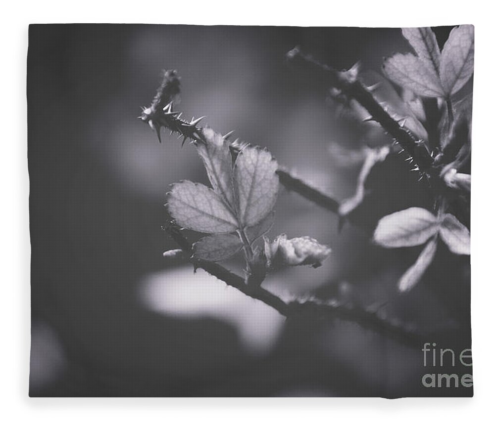 Adrian-deleon Fleece Blanket featuring the photograph First signs of spring -Georgia by Adrian De Leon Art and Photography