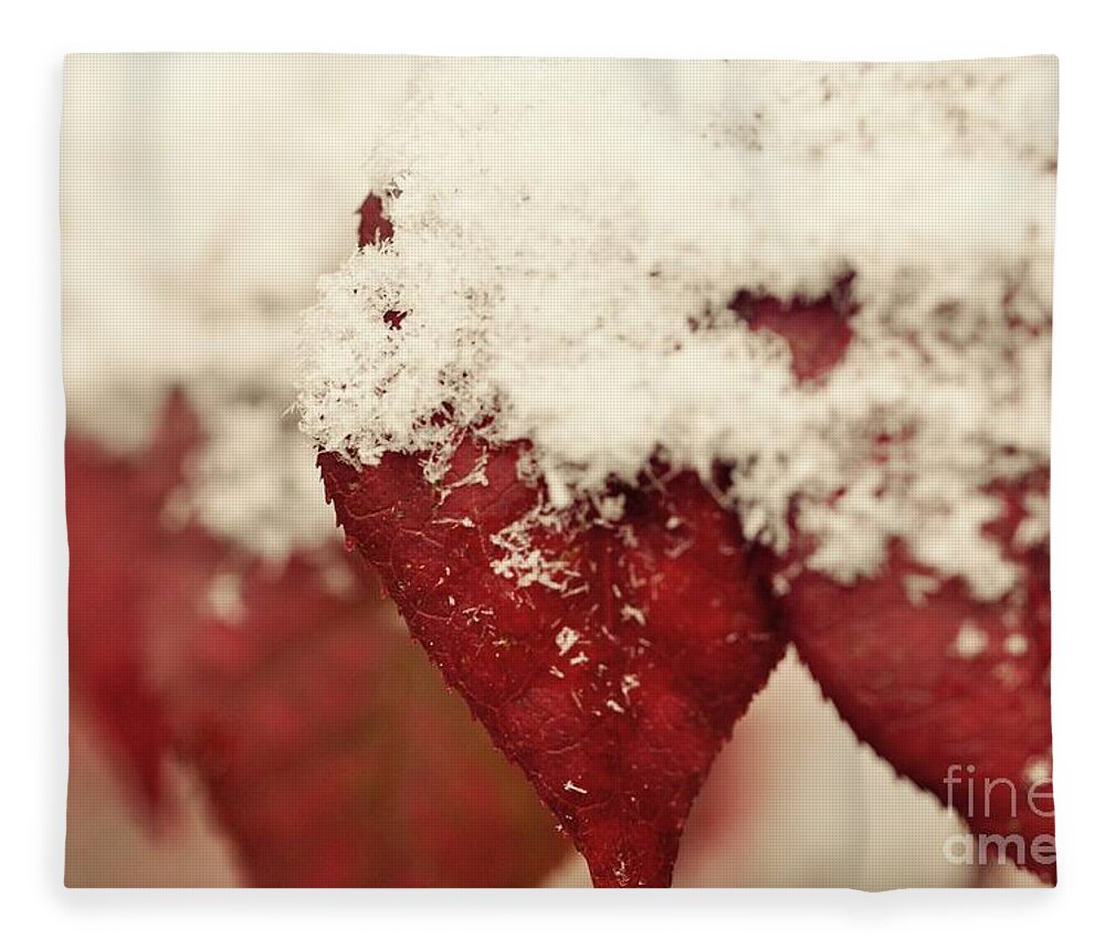 Burning Bush Fleece Blanket featuring the photograph First Snow by Christina McKinney