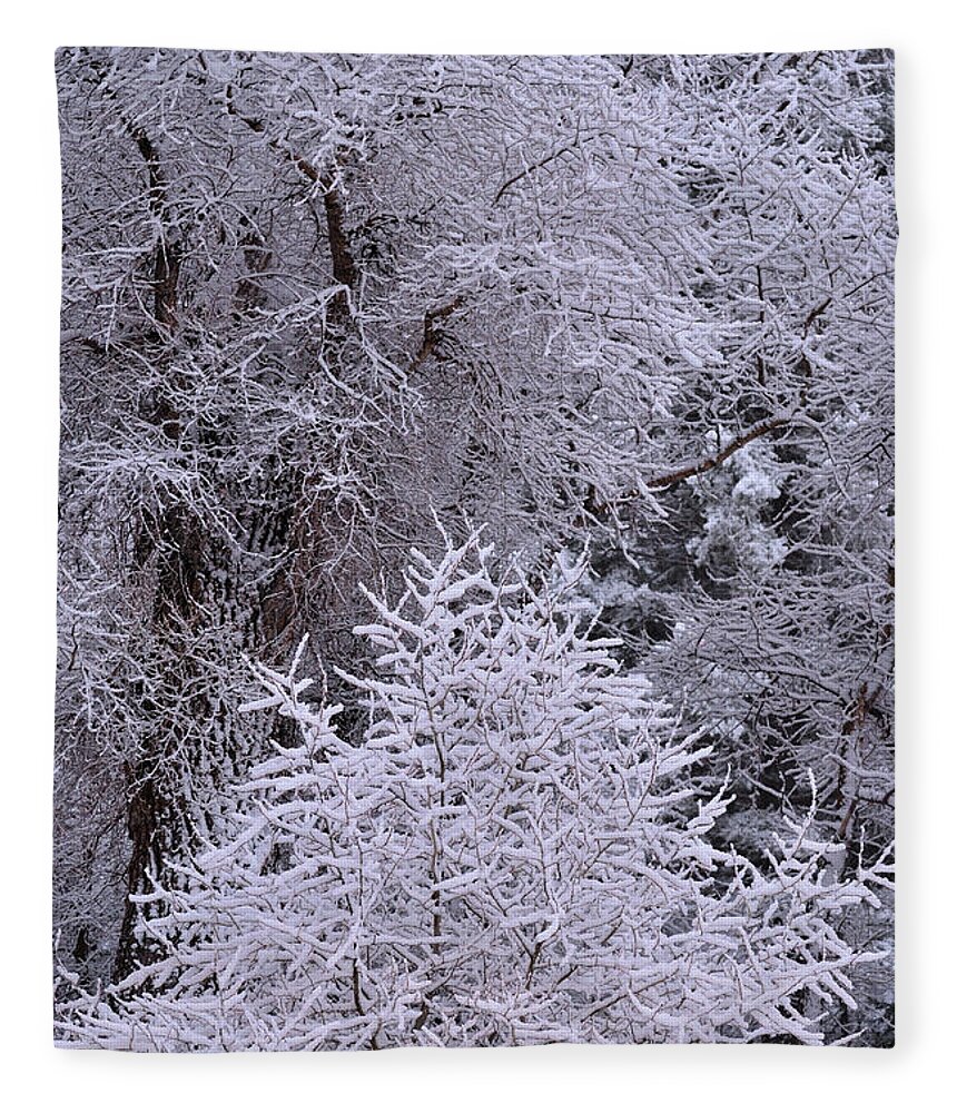 Snow Fleece Blanket featuring the photograph First Snow I by Ron Cline