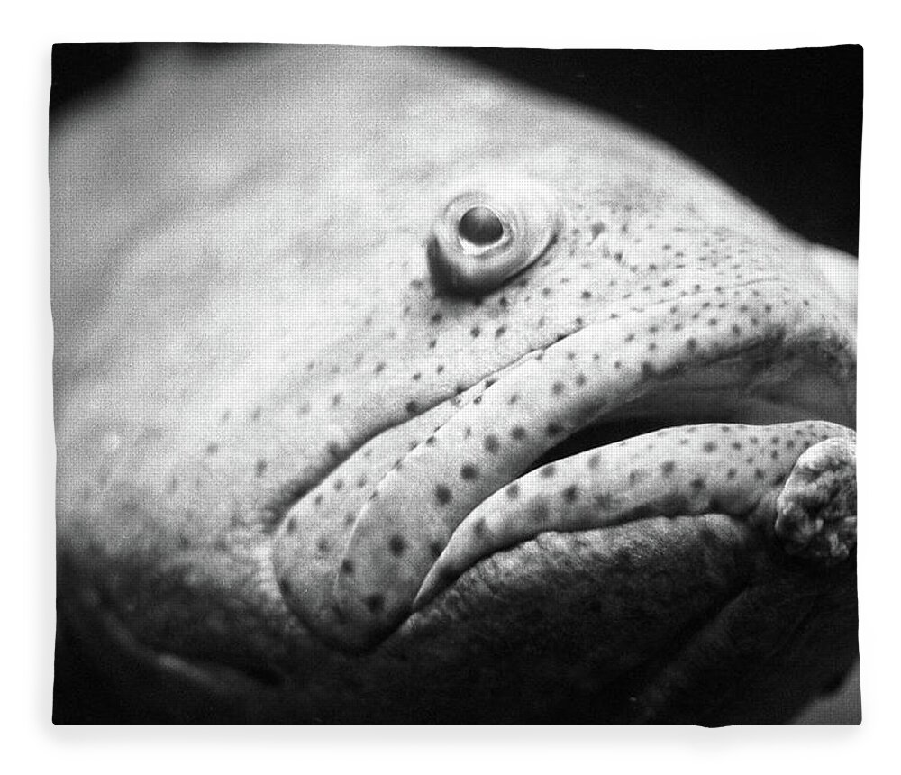 Fine Art Fleece Blanket featuring the photograph Fish Face by Frank DiMarco