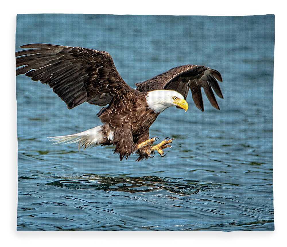 Bald Eagle Fleece Blanket featuring the photograph Fishing by Jeanette Mahoney