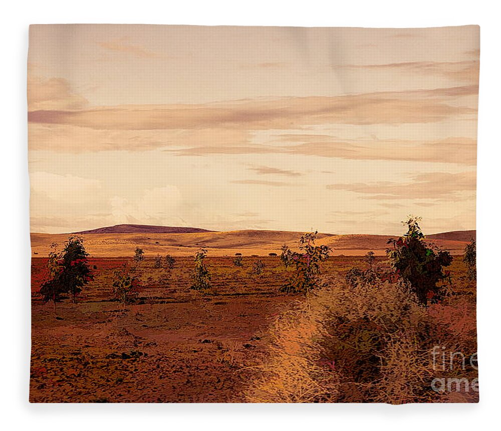 Morocco Fleece Blanket featuring the photograph Flat Land Scenic Morocco View from Train Window by Chuck Kuhn