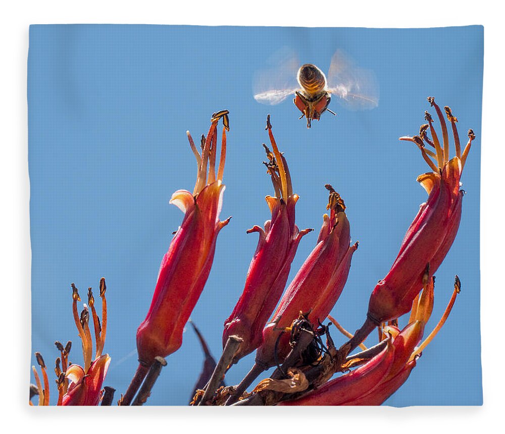 Flowers Fleece Blanket featuring the photograph Flight of the Bumble Bee by Derek Dean