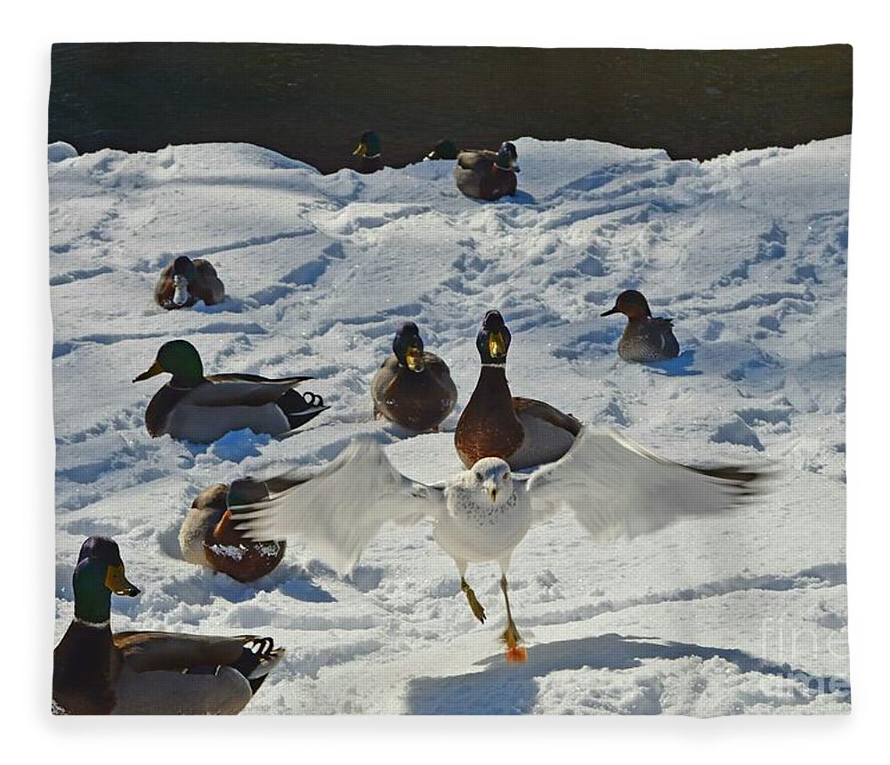 Ducks Fleece Blanket featuring the photograph Flight or Fancy by Dani McEvoy