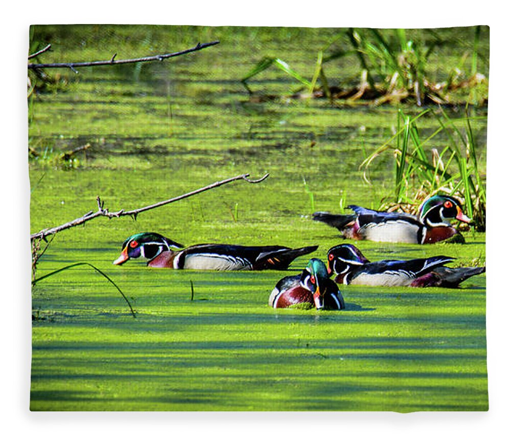 Wood Ducks Fleece Blanket featuring the photograph Floating Along by Randy J Heath