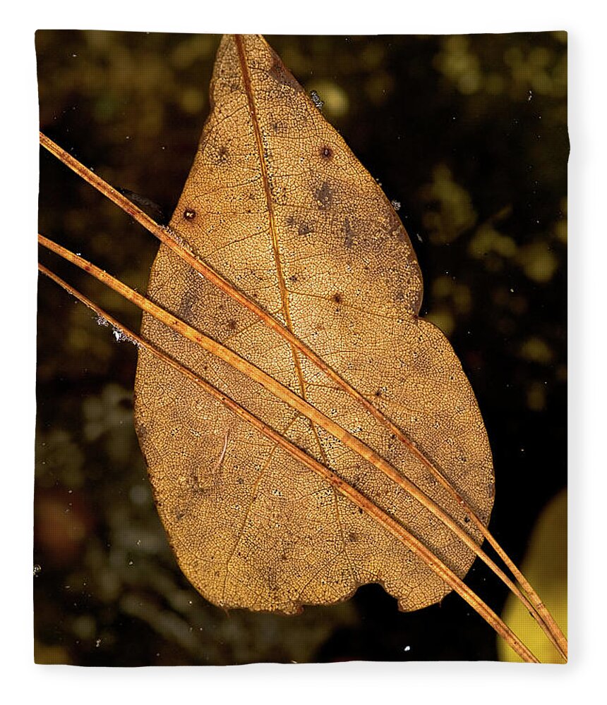 Leaf Fleece Blanket featuring the photograph Floating by Christopher Holmes