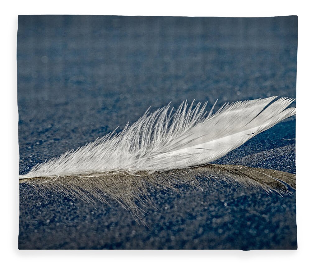 Feather Fleece Blanket featuring the photograph Floating Feather Reflection by Robert Potts