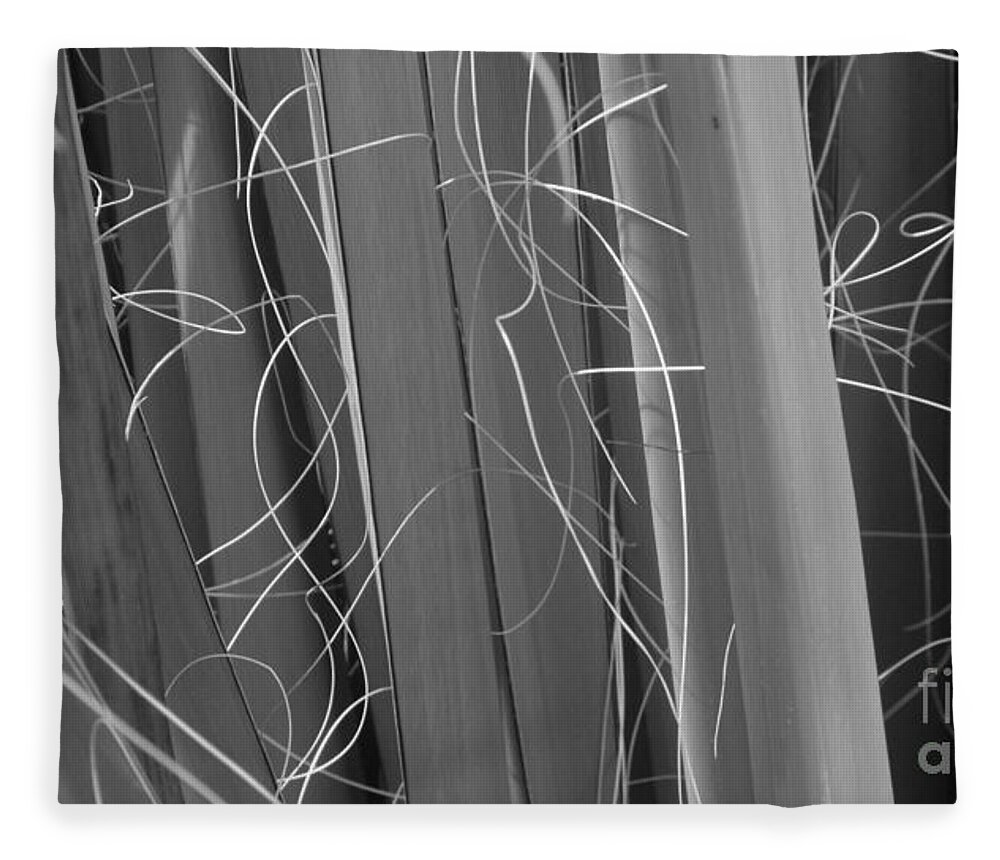 Black And White Energy Dynamic Contrast Fleece Blanket featuring the photograph Flora Series 1-15 by J Doyne Miller