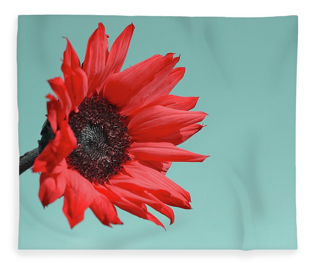 #faatoppicks Fleece Blanket featuring the photograph Floral Energy by Aimelle Ml