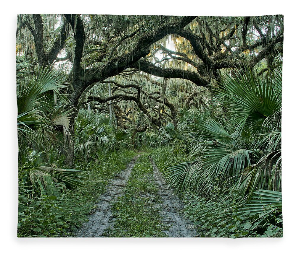 Spanish Moss Fleece Blanket featuring the photograph Florida Wilderness by Brian Kamprath