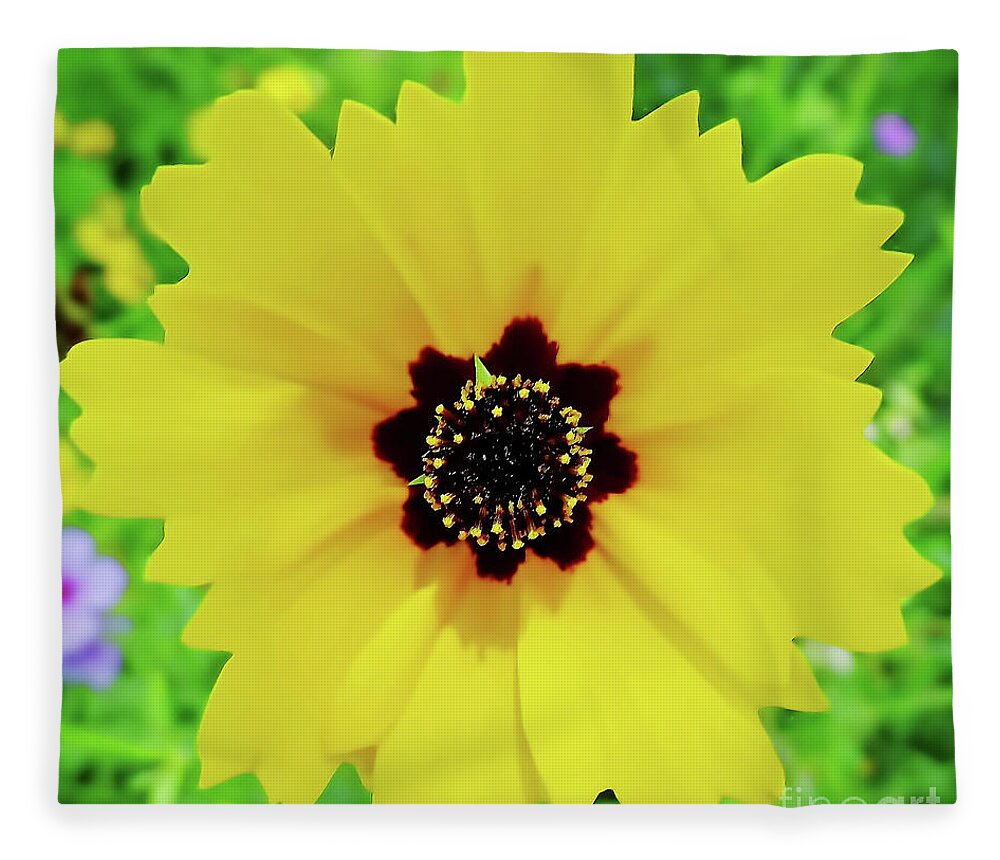 Coreopsis Fleece Blanket featuring the photograph Florida - Yellow - Wildflower by D Hackett