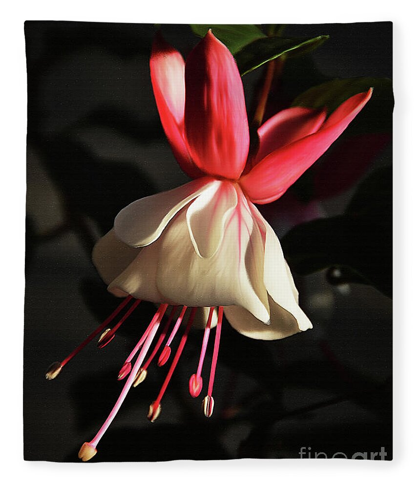Flowers Fleece Blanket featuring the painting Flower 0021-a by Gull G