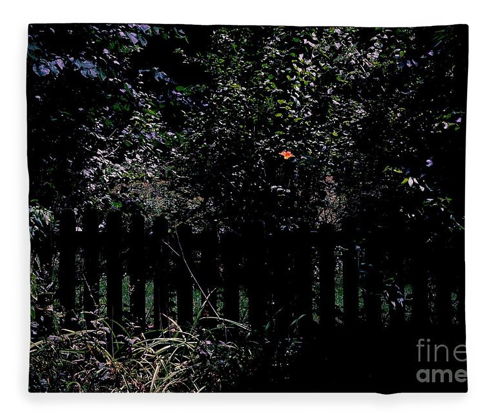 Single Flower And Fence Fleece Blanket featuring the photograph Flower and Fence by Frank J Casella