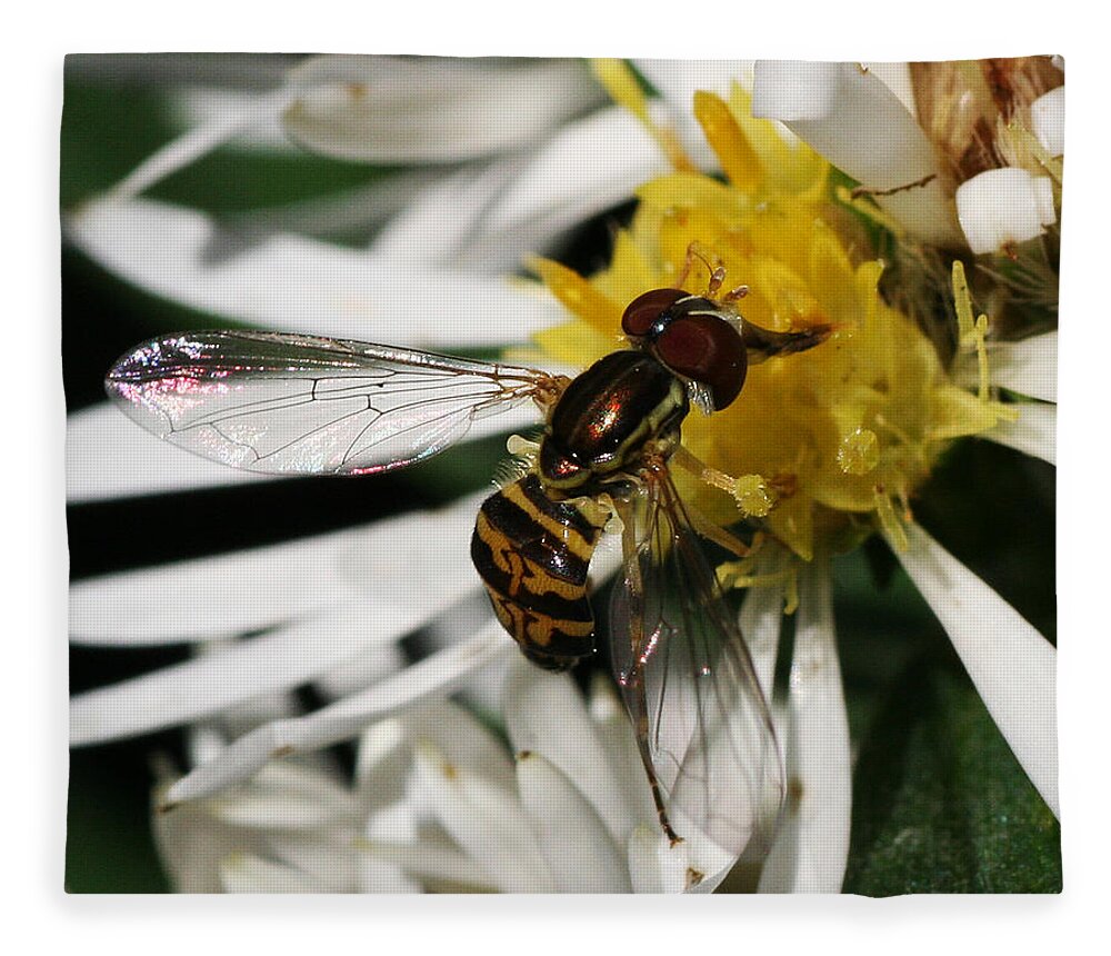 Insect Fleece Blanket featuring the photograph Flower Fly on Wildflower by William Selander