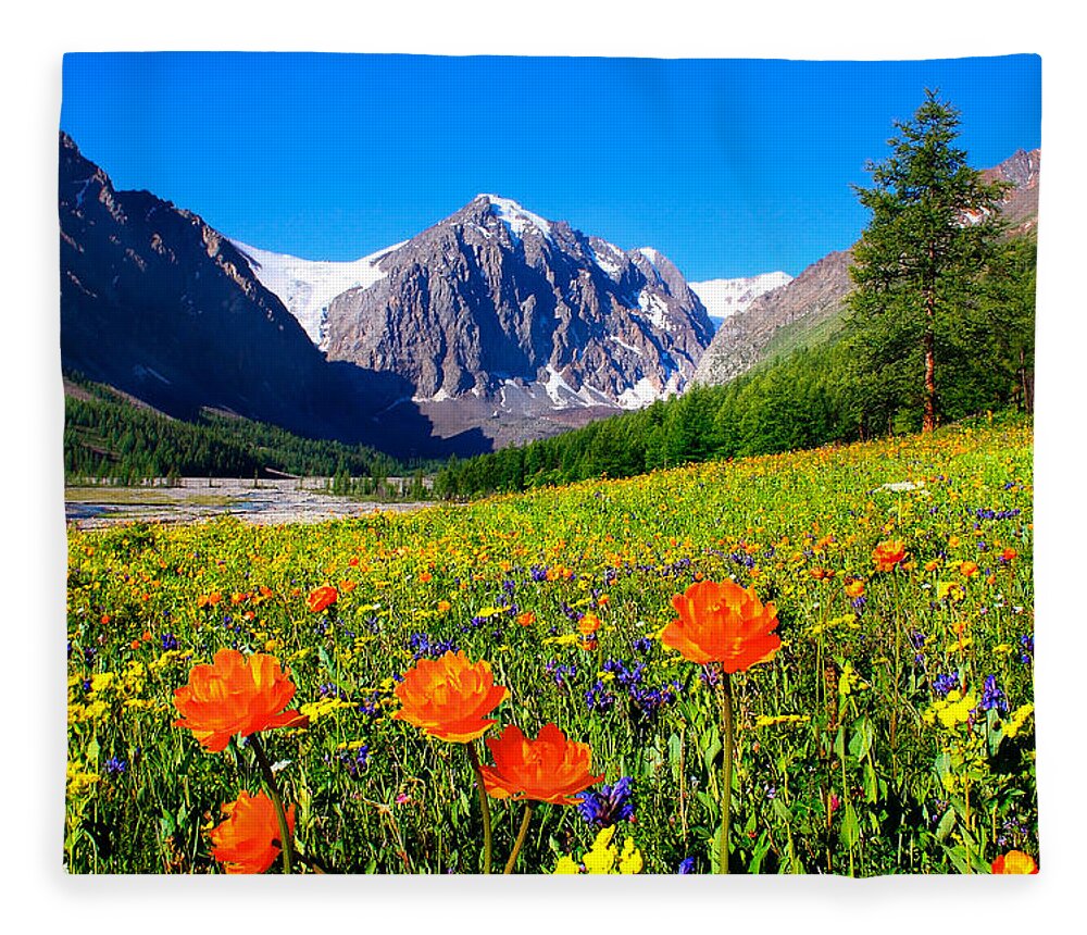 Russian Artists New Wave Fleece Blanket featuring the photograph Flowering Valley. Mountain Karatash by Victor Kovchin