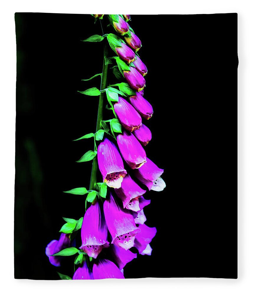 Art Fleece Blanket featuring the photograph Flowers by Jason Brooks