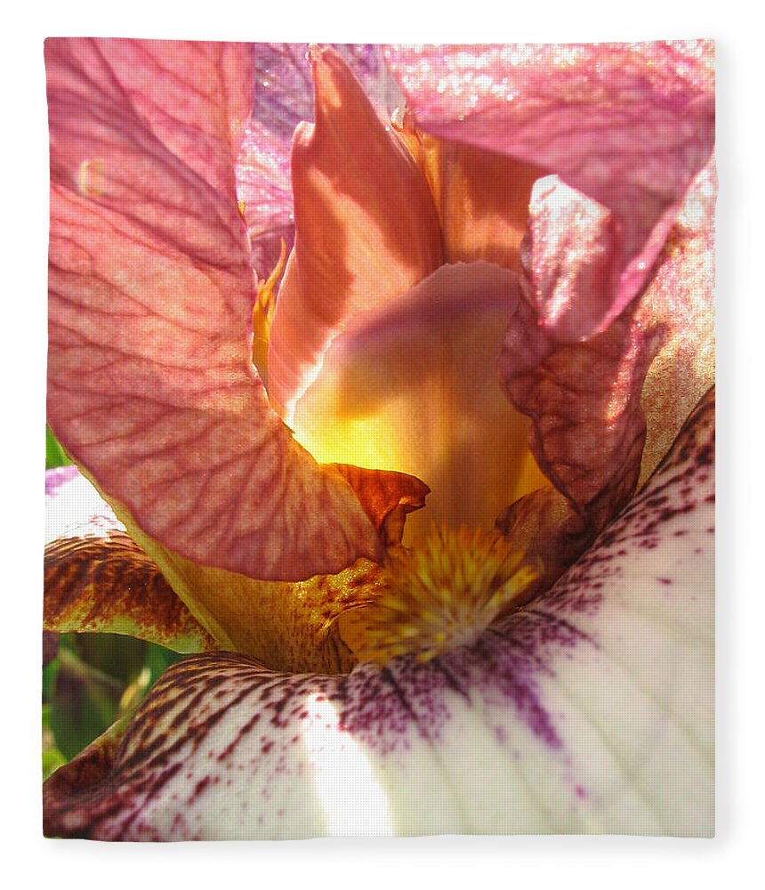 Pink Fleece Blanket featuring the photograph Flowerscape Pink Iris One by Laura Davis