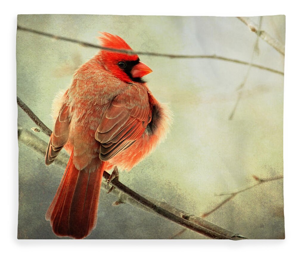 Cardinal Fleece Blanket featuring the photograph Fluffy winter Cardinal by Al Mueller