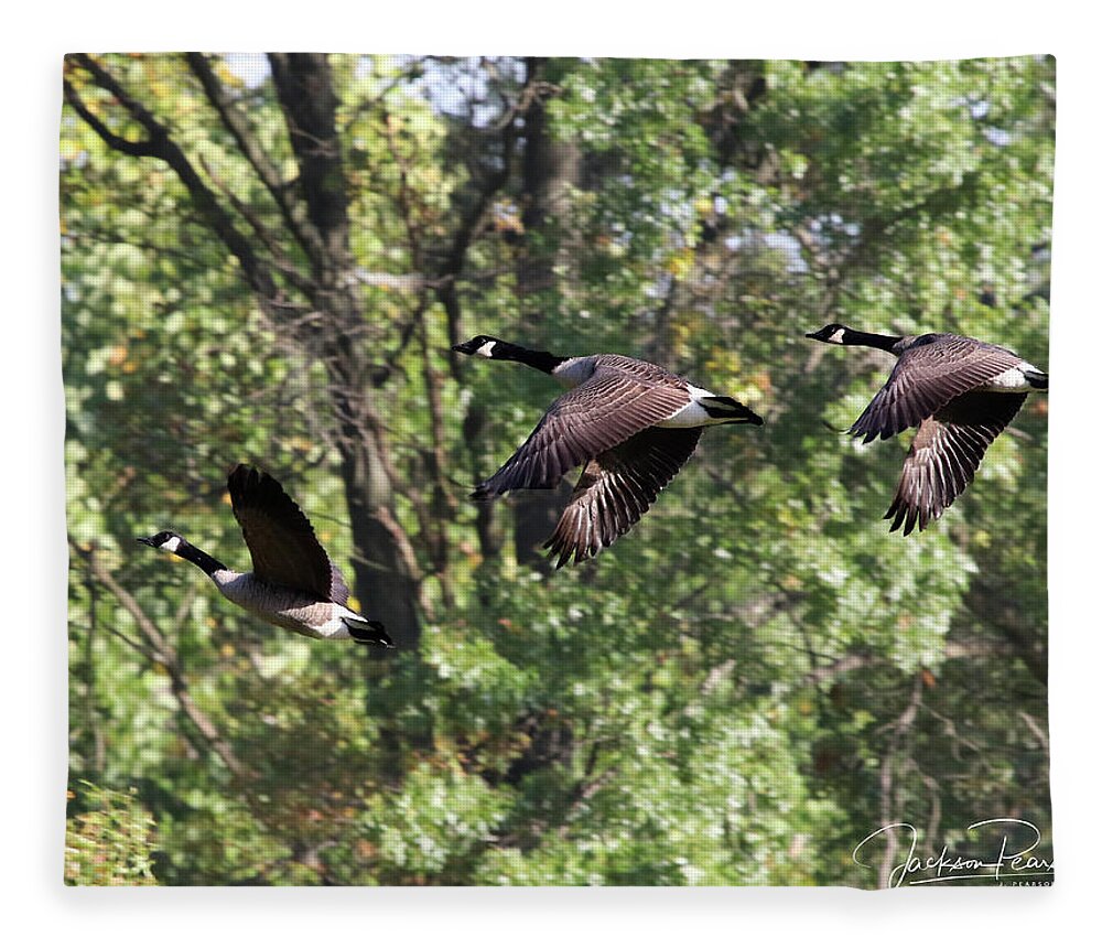 Geese Fleece Blanket featuring the photograph Fly Away by Jackson Pearson