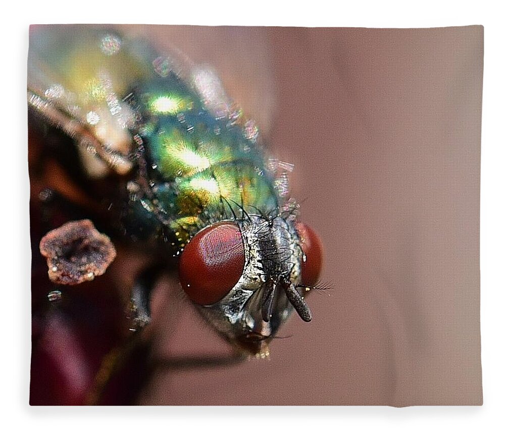 Linda Brody Fleece Blanket featuring the photograph Fly Eyes by Linda Brody