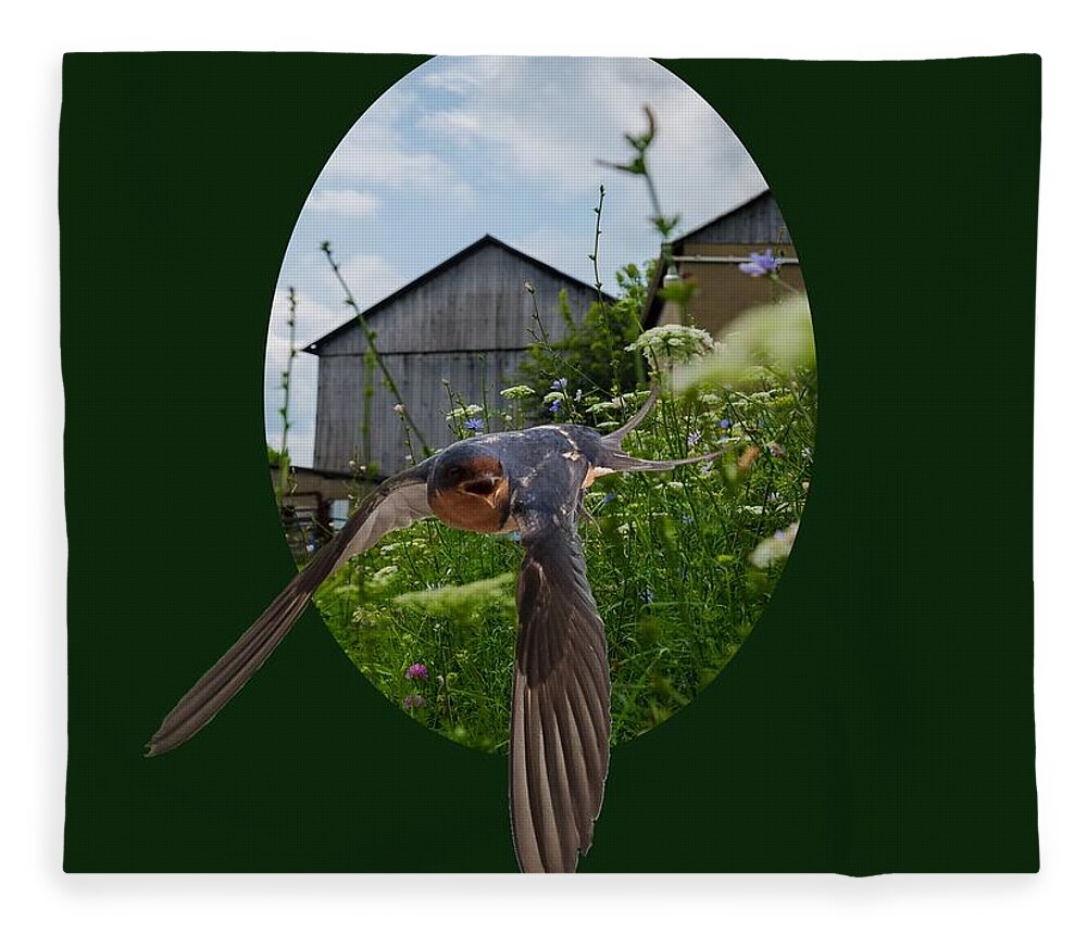 Barn Fleece Blanket featuring the photograph Flying Through The Farm by Holden The Moment