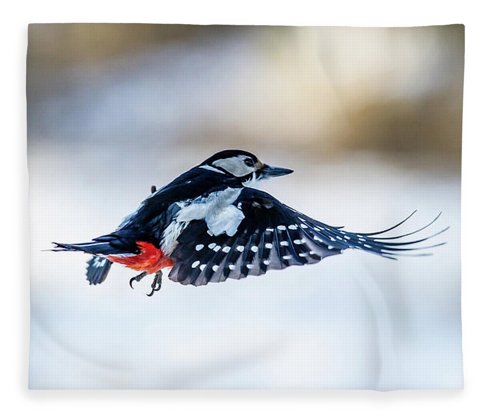 Flying Woodpecker Fleece Blanket featuring the photograph Flying Woodpecker by Torbjorn Swenelius