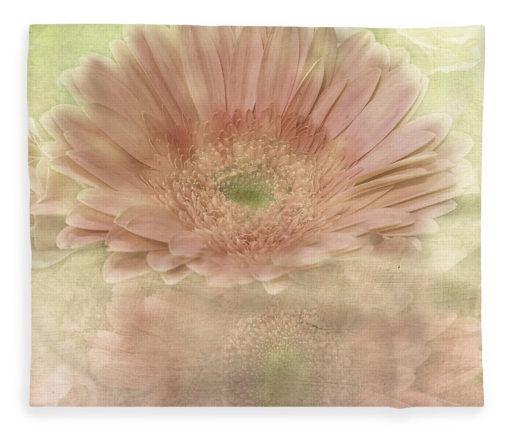 Daisy Fleece Blanket featuring the photograph Focused On You by Arlene Carmel