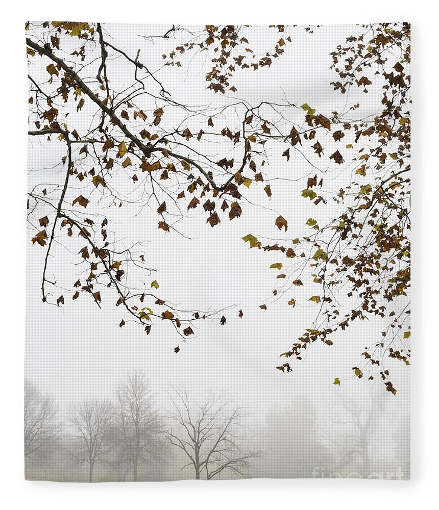 Foggy Fleece Blanket featuring the photograph Foggy Morning at the Lake by Tamara Becker