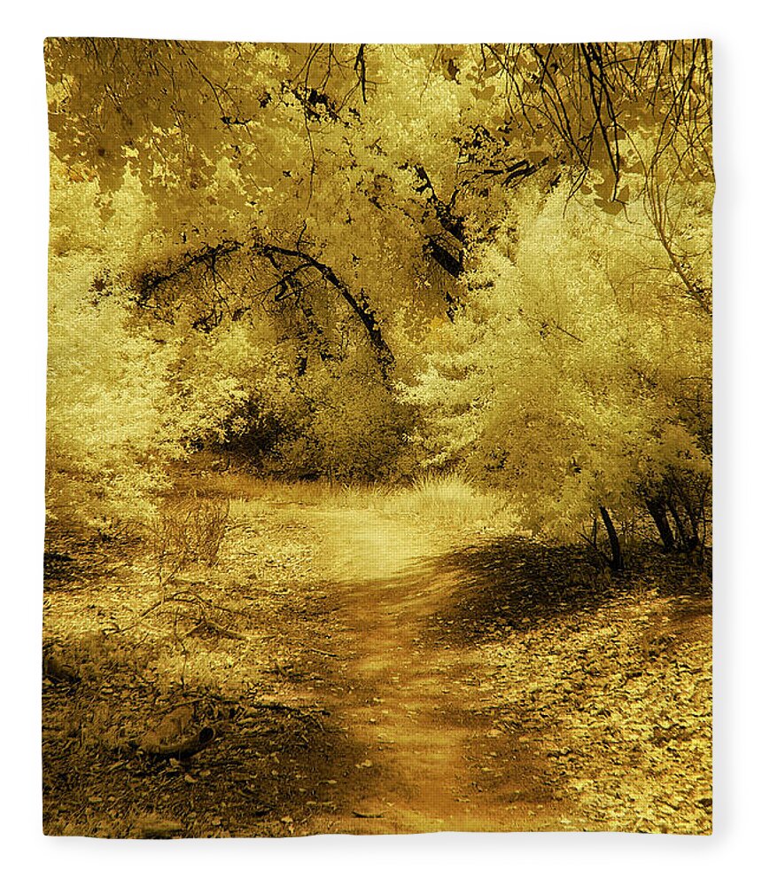 Landscape Fleece Blanket featuring the photograph Follow the Yellow Dirt Road by Michael McKenney