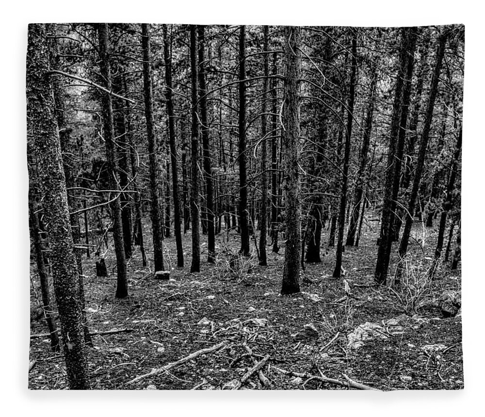 Pine Forest Fleece Blanket featuring the photograph Forest Fade by Michael Brungardt