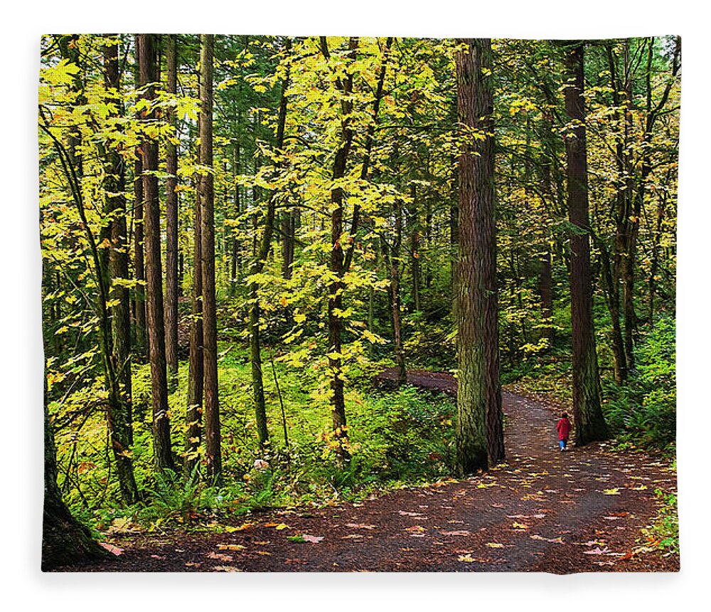 Trees Fleece Blanket featuring the photograph Forest Pathway by John Christopher
