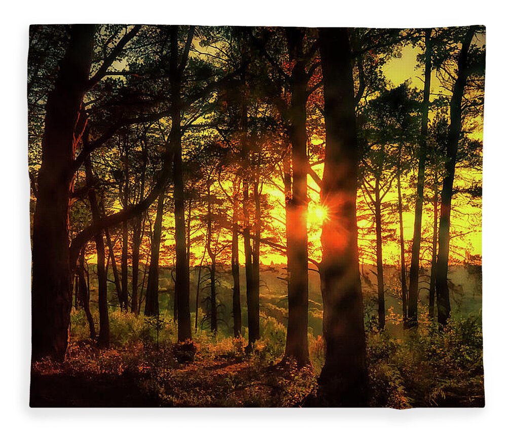 Landscape Fleece Blanket featuring the photograph Forest Sunset by Chris Boulton