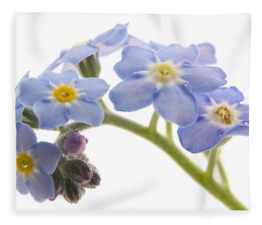 Forget-me-nots Fleece Blanket featuring the photograph Forget-Me-Nots by Ann Garrett