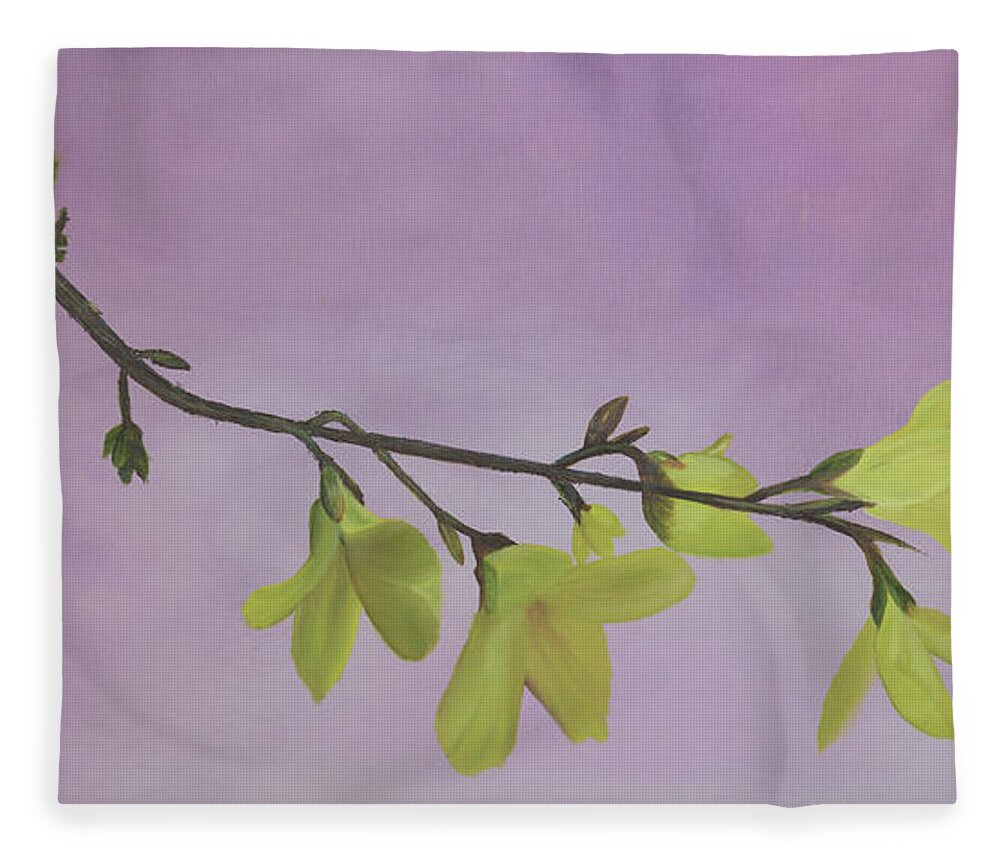 Fine Art Fleece Blanket featuring the painting Forsythia by Stephen Daddona