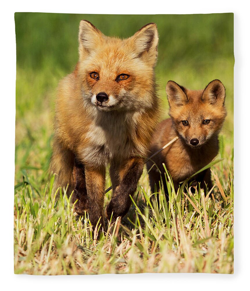 Pup Fleece Blanket featuring the photograph Fox Family by Mircea Costina Photography