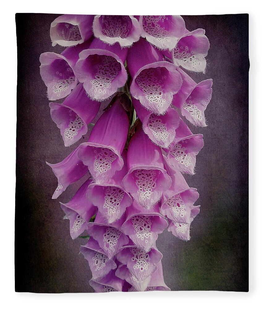 Foxglove Fleece Blanket featuring the photograph Foxy Lady by Leslie Montgomery