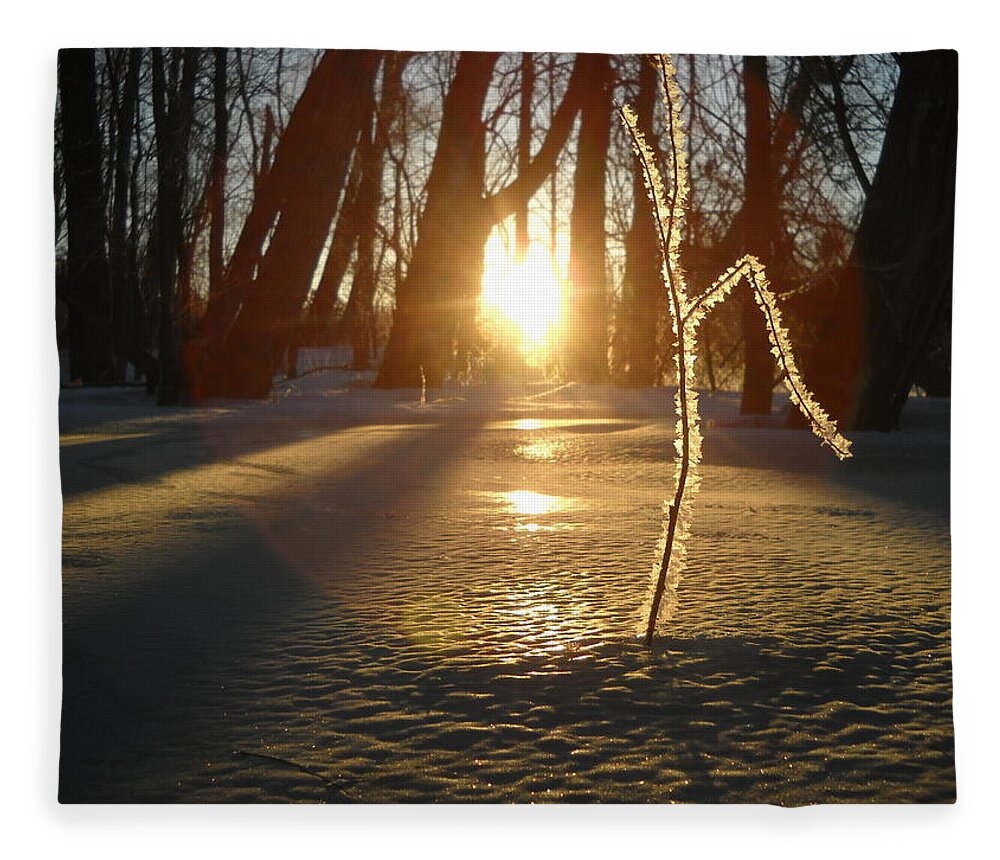 Sunrise Fleece Blanket featuring the photograph Frost on Sapling at Sunrise by Kent Lorentzen
