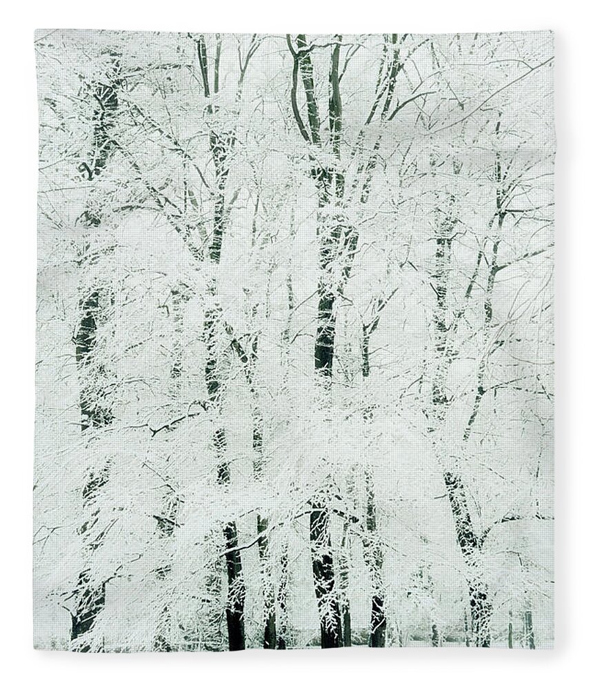 Trees Fleece Blanket featuring the photograph Frosted by Dorit Fuhg