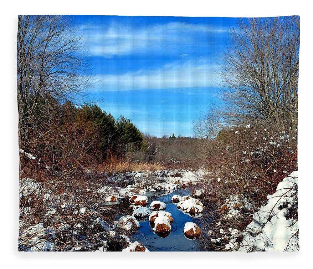 Snow Fleece Blanket featuring the photograph Frosted River Grass by Dani McEvoy