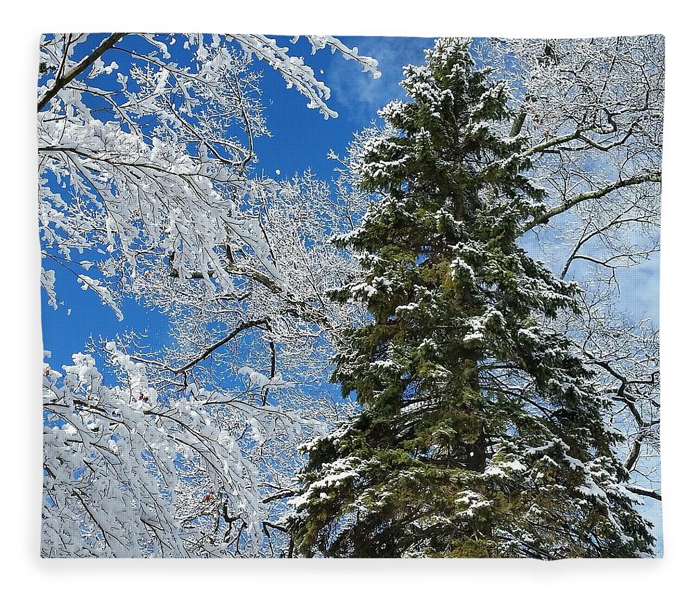 Winter Fleece Blanket featuring the photograph Frozen Evergreen by Vic Ritchey